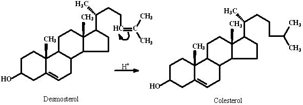 Protonação do desmosterol