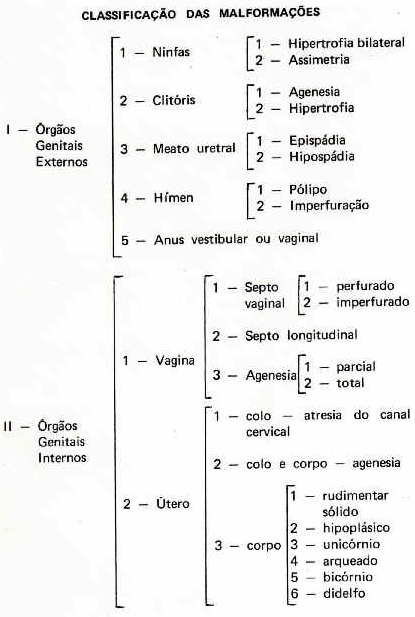 Classificao das malformaes