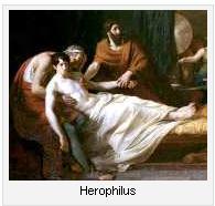 Herophilus Herophilus